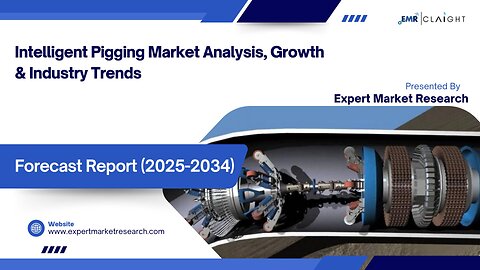 Intelligent Pigging Market| Trends, Growth & Forecast 2025-2034