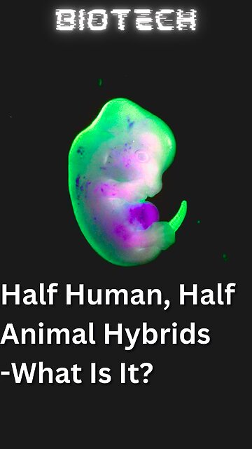 Why Japanese Scientists Created Human Hybrids