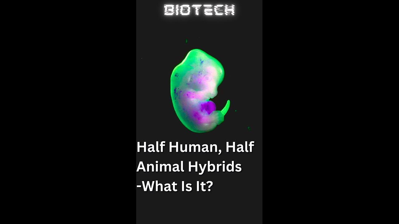 Why Japanese Scientists Created Human Hybrids