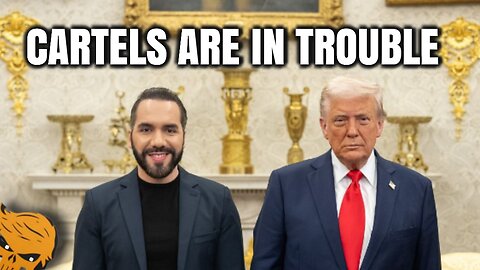 CNN HUMILIATED. No Return! Operatives FIRED, Liable! Updates More!!