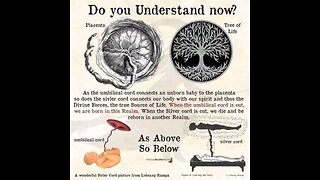 God is the energy that animates everything: