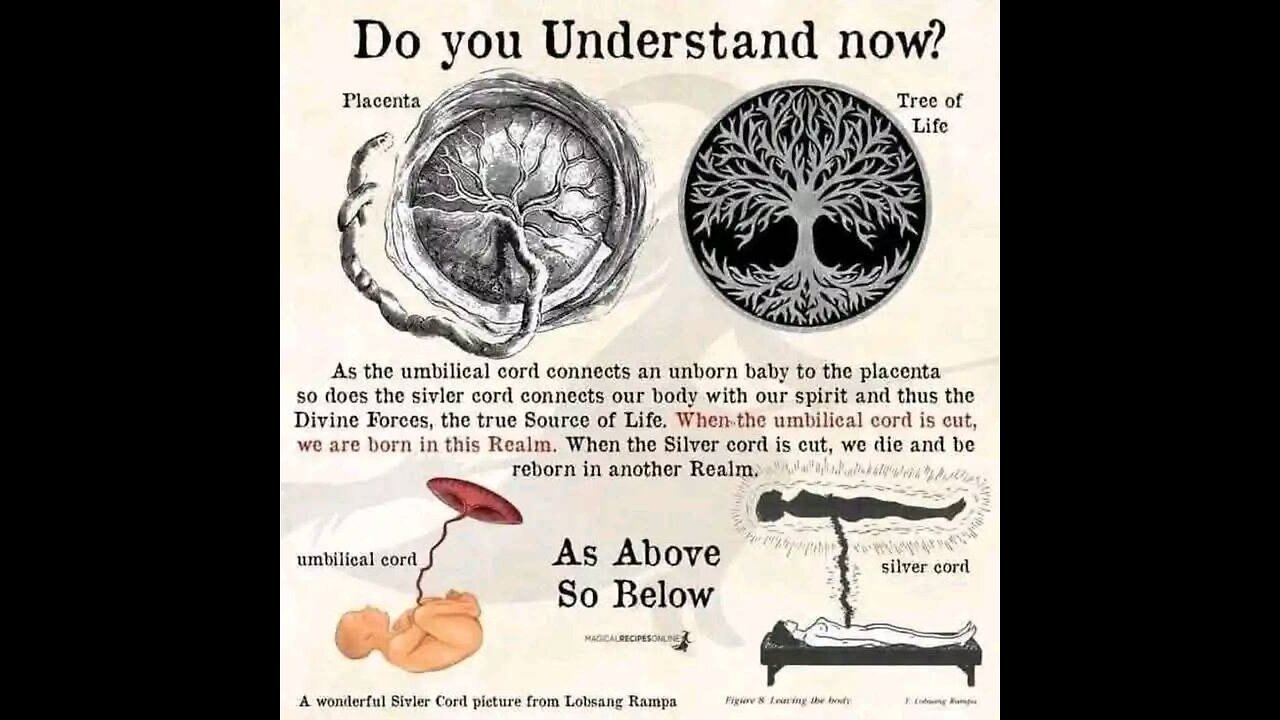 God is the energy that animates everything: