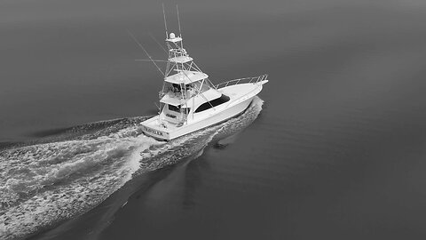 Blasian Babies DaDa Skydio 2+ Pro Kit Drone Spring Northbound Yacht Migration Elizabeth River Bend