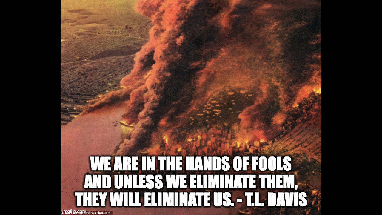 More Socialism Always Equals More Violence