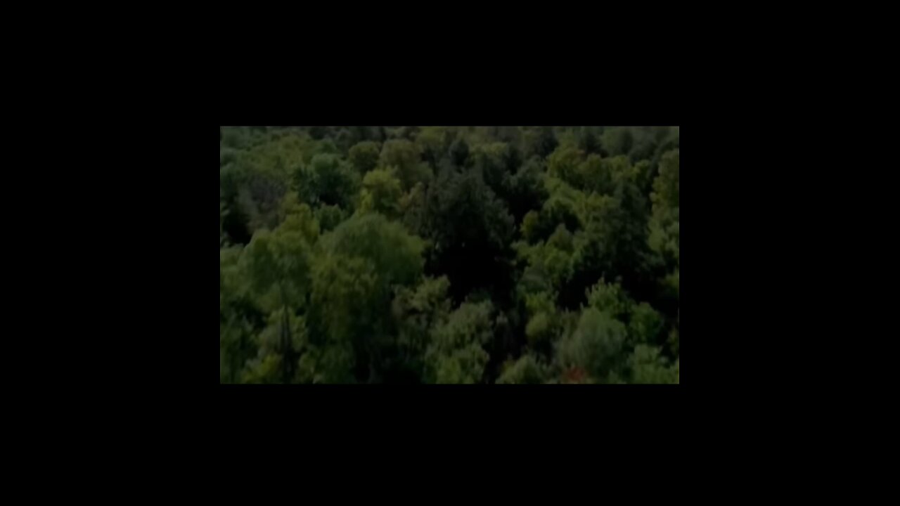 wrong tune 1 dead💀☠️🔪🛻