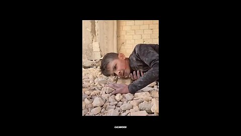 Pallywood's new Star: Pally Chan! The new, improved season of Cobra Kaistan. Enjoy :-) :-) :-)