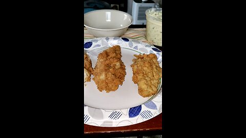 Eating Lee's Famous Recipe Chicken, Plymouth Rd, Livonia, MI, 7/7/25