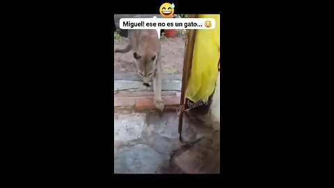 Funny