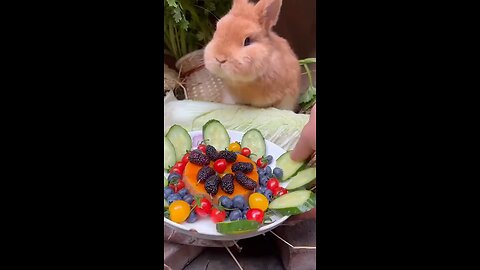 Those cheeks 🐰
