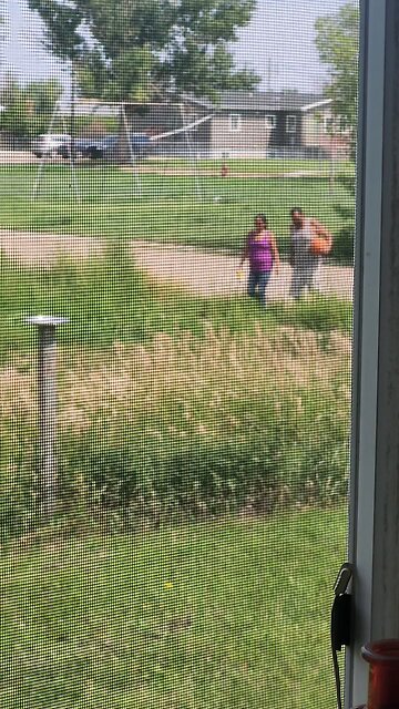 WTF Are You Teaching Your Kid?