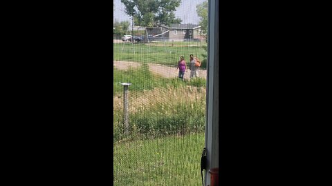 WTF Are You Teaching Your Kid?