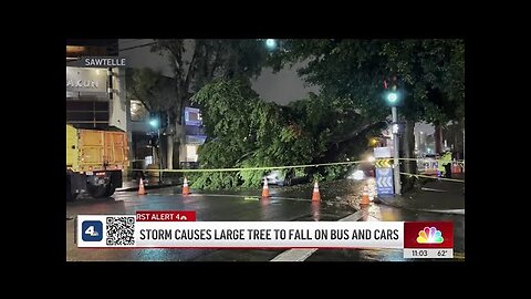 Storm causes large tree to fall on bus and cars in Sawtelle