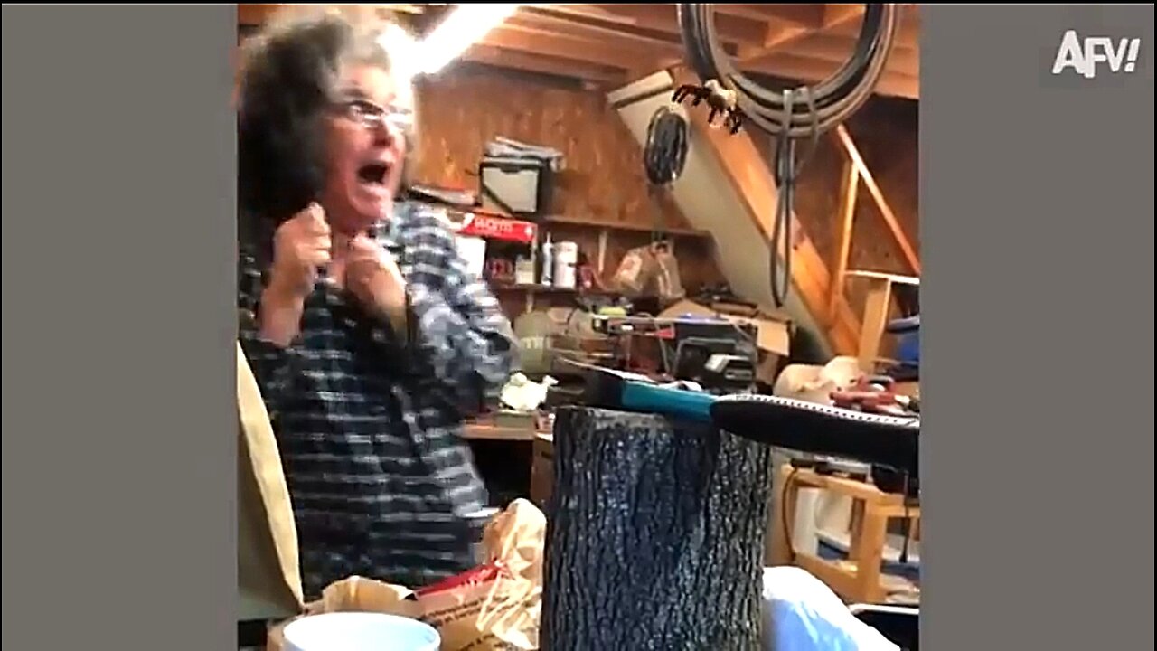 FUNNY SCARE PRANKS - HILARIOUS - I NEEDED THAT 😂