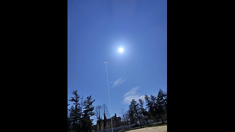 Bald eagle is flying high