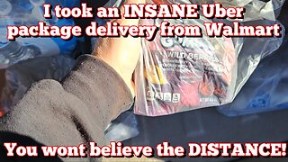 I took an INSANE Uber package delivery from Walmart. You won't believe the ITEMS and DISTANCE!