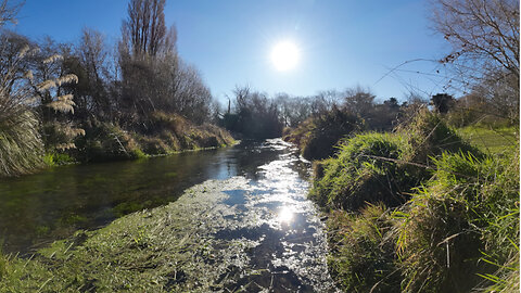 The Source of Kaiapoi River | Nice Day for a Walk | Bring your dog with you! =)