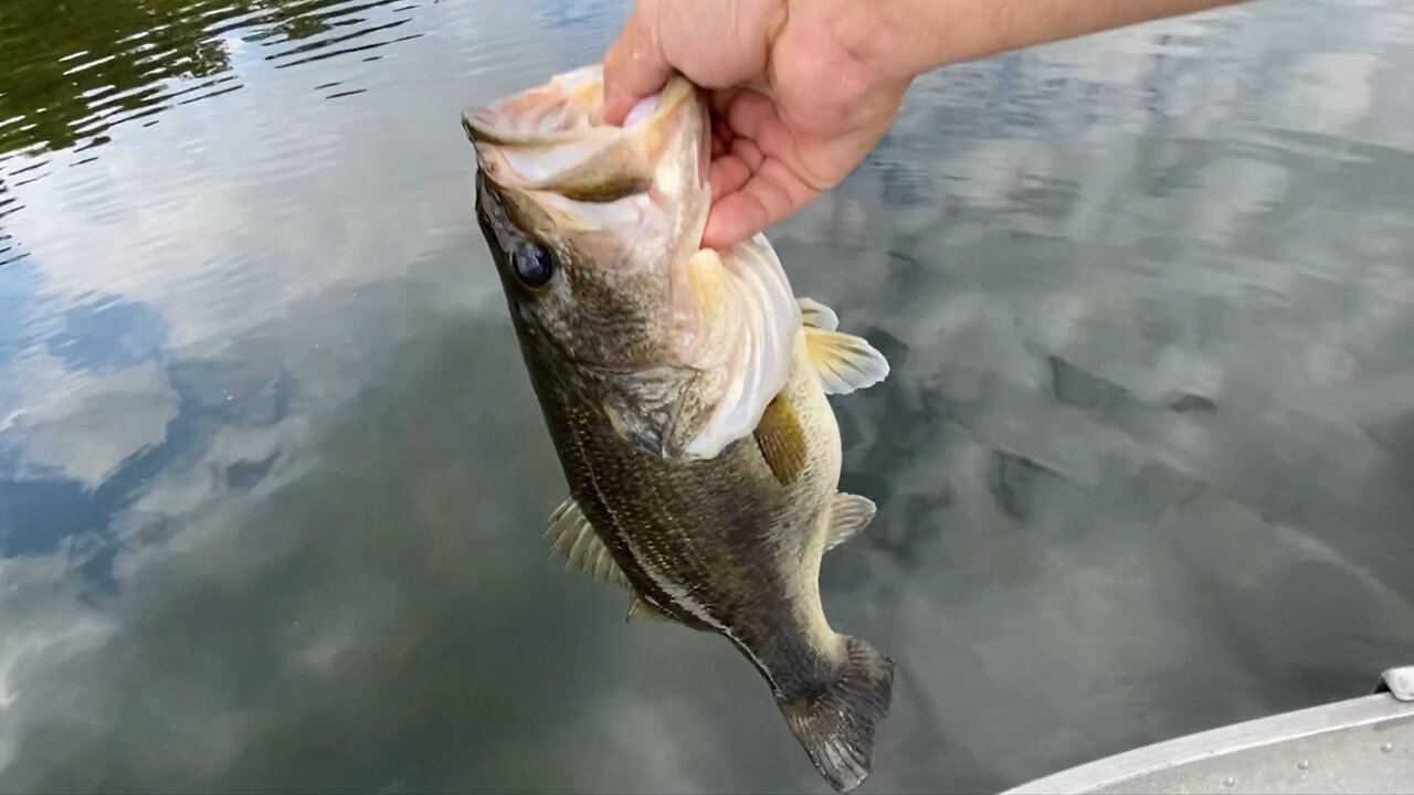 Spring Bass Fishing!