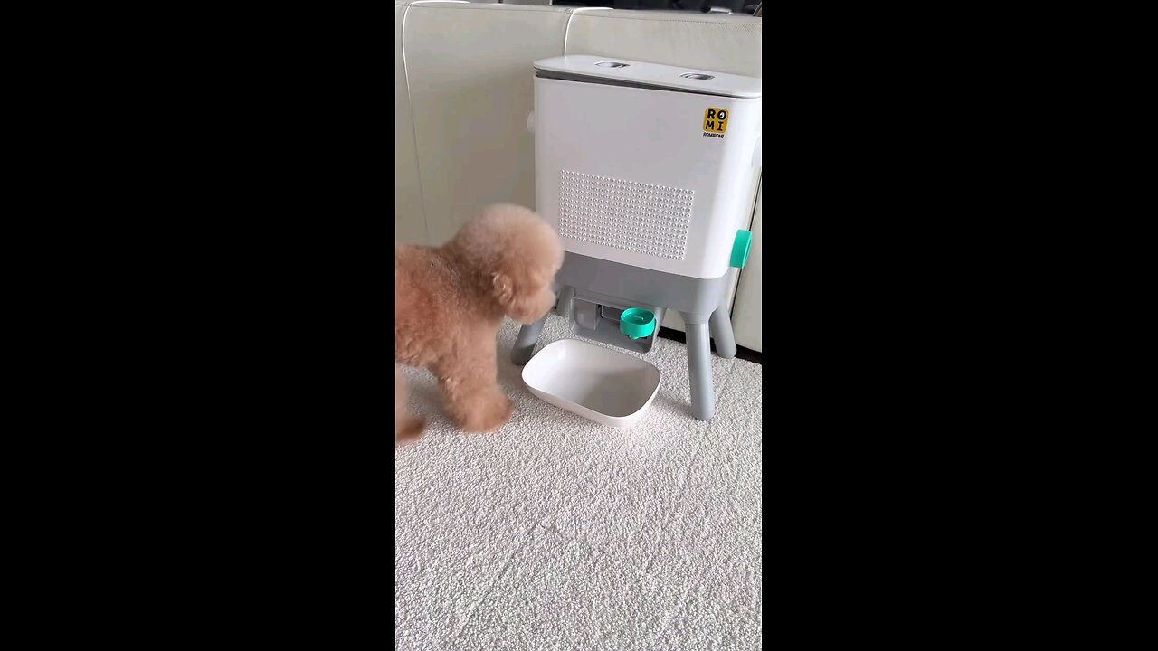 अक्लमंद