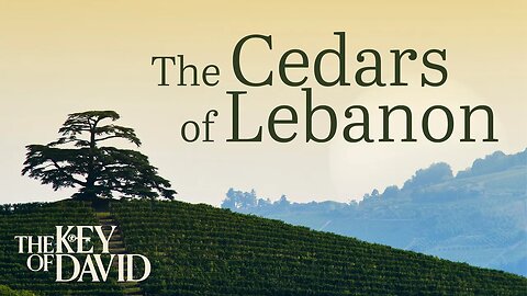 The Cedars of Lebanon