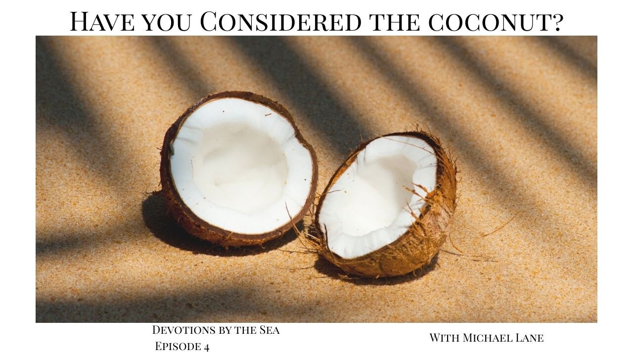 Have you considered the coconut?