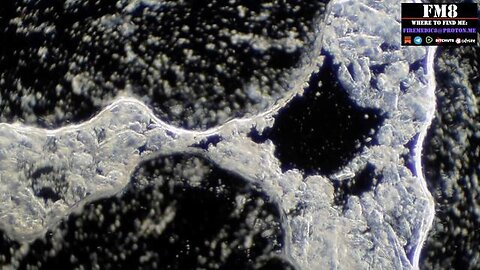 "Unveiling Factor Xa Inhibitor Part 2: Deep Dive into FM8 Inhibition - SEO Guide"