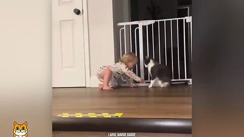 When you're kid raised by a cat 💙🐈