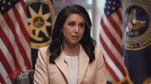 Tulsi Gabbard discusses Covid origins and Fauci lying to the American public