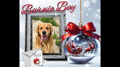 Golden Retrievers: Hearts of Gold - Christmas 2025