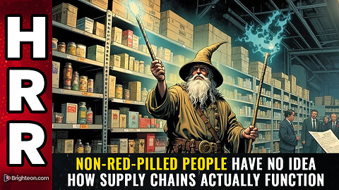 Non-red-pilled people have NO IDEA how SUPPLY CHAINS actually function
