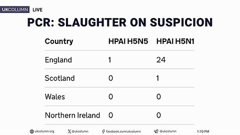 "UK Column: Increased Bird Flu Slaughters Due to PCR Testing Suspicions"