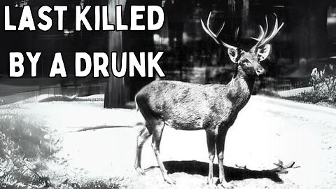 The Brutal Endings Of These Four Extinct Animals