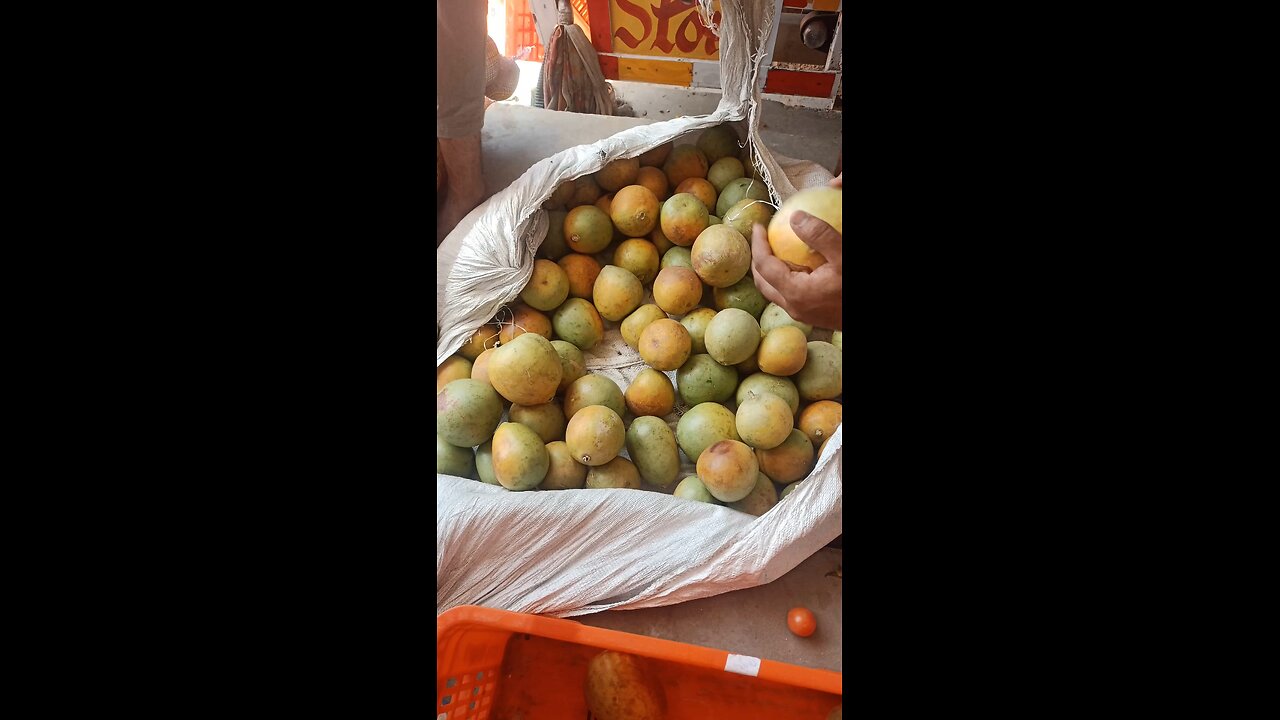 Wood Apple – Nature's Tangy Treasure