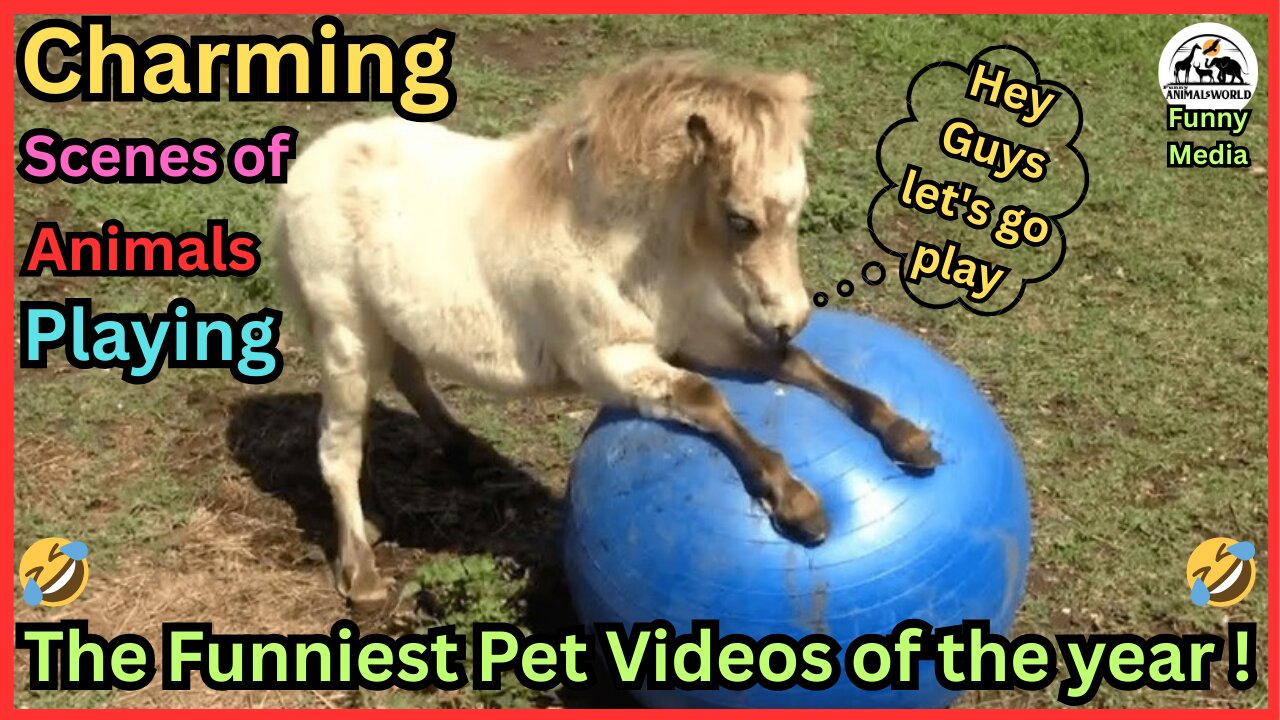 FUNNIEST Pet Fails ! 🤣 😂 Best Compilation 2023
