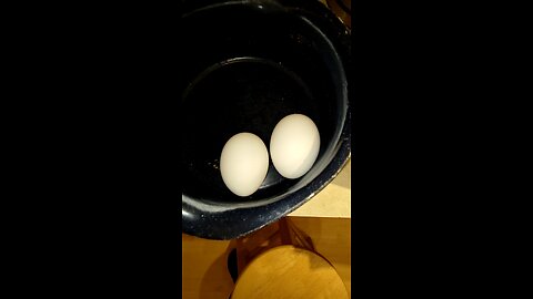 Eating Eggland's Best Eggs, Dbn, MI, 11/1/25