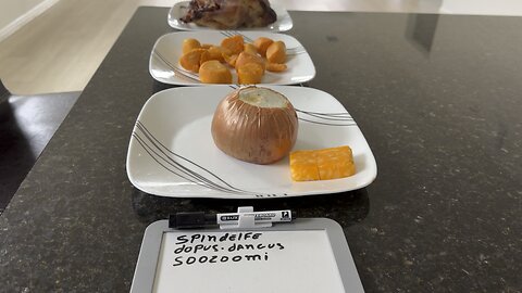 MEAL OF THE DAY DEDICATED