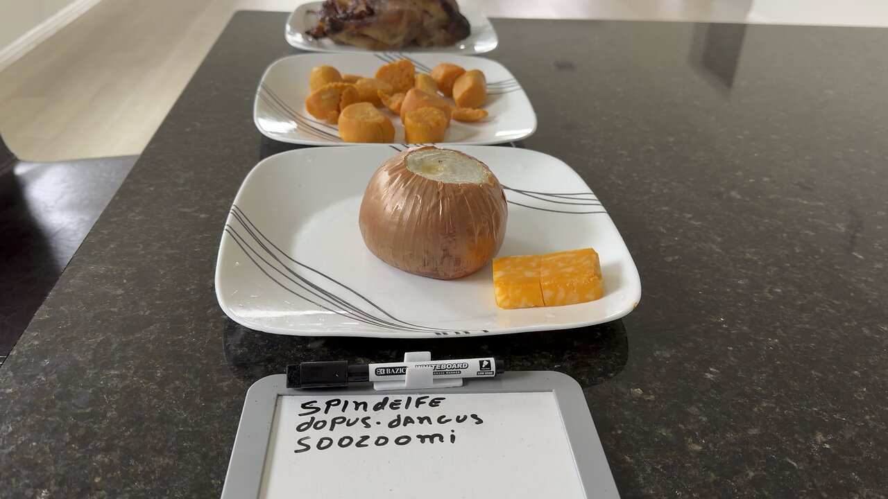 MEAL OF THE DAY DEDICATED