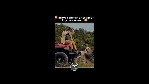 bro's 🤣🤣 lion