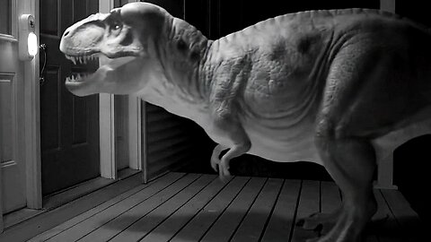 Caught on Camera - Prehistoric Pranksters at the Door