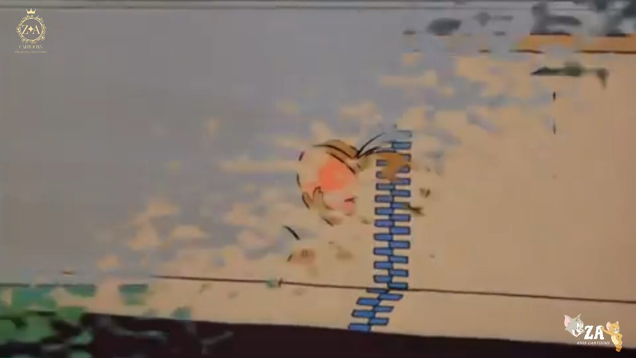 Tom and Jerry Cartoons