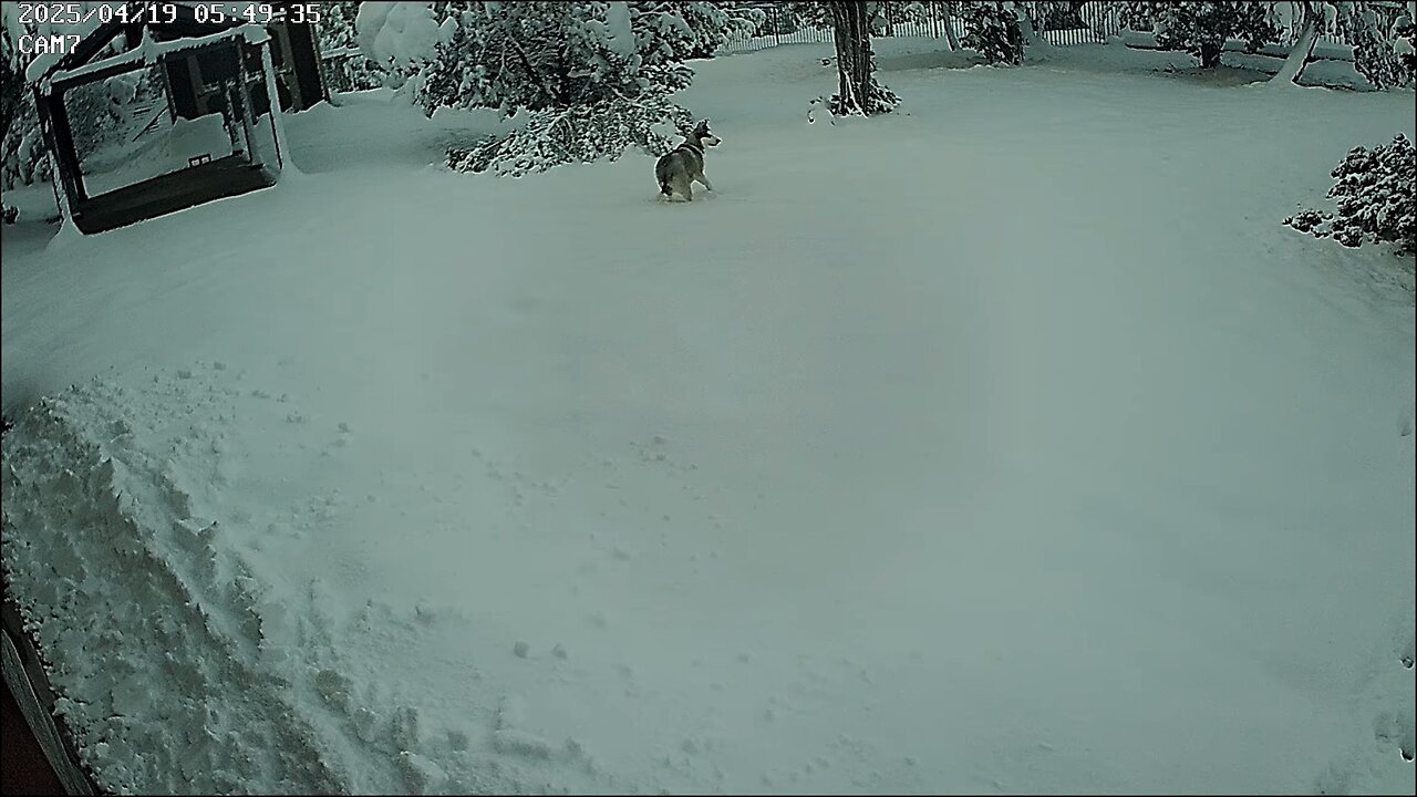 Anika's 1st big snow