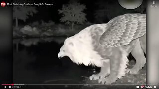Unknown Creatures Caught On Camera! PART 1
