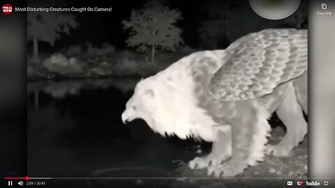 Unknown Creatures Caught On Camera! PART 1
