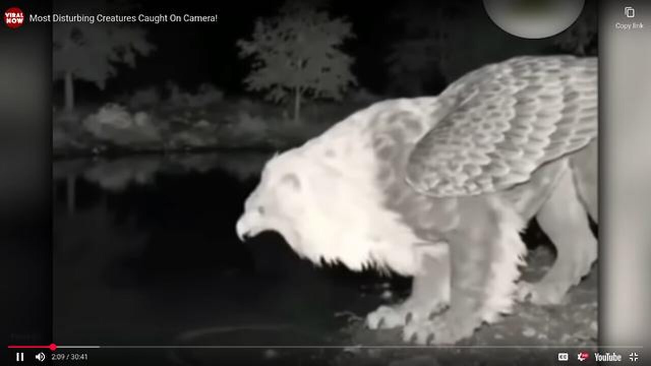 Unknown Creatures Caught On Camera! PART 1