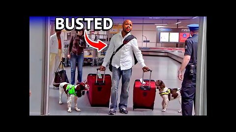 Airport Sniffer Dogs EXPOSE Every Dr*g Smuggler!