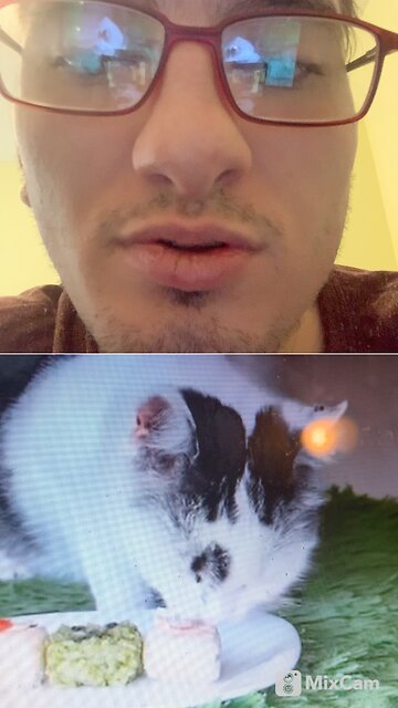 My reaction to cats eating Minecraft food