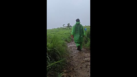 Kasaragod Ranipuram Hills | റാണിപുരം ഒരു വിനോദസഞ്ചാര കേന്ദ്രം | #kasaragod #hills #kerala #tourism