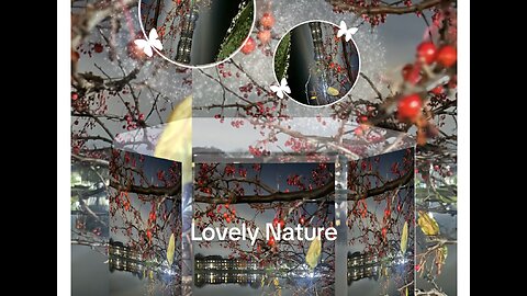 Swan 🦢 Lake at Night in November.