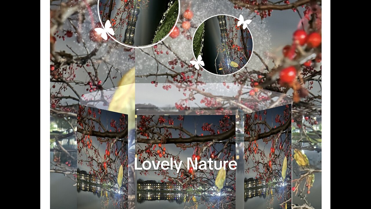 Swan 🦢 Lake at Night in November.