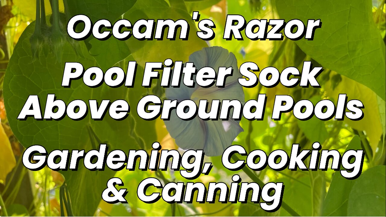 Pool Filter Sock – Above Ground Pool, Occam’s Razor Gardening, Cooking & Canning