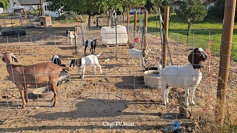 Graham Family Farm NW: 8:20 AM August 23 2025
